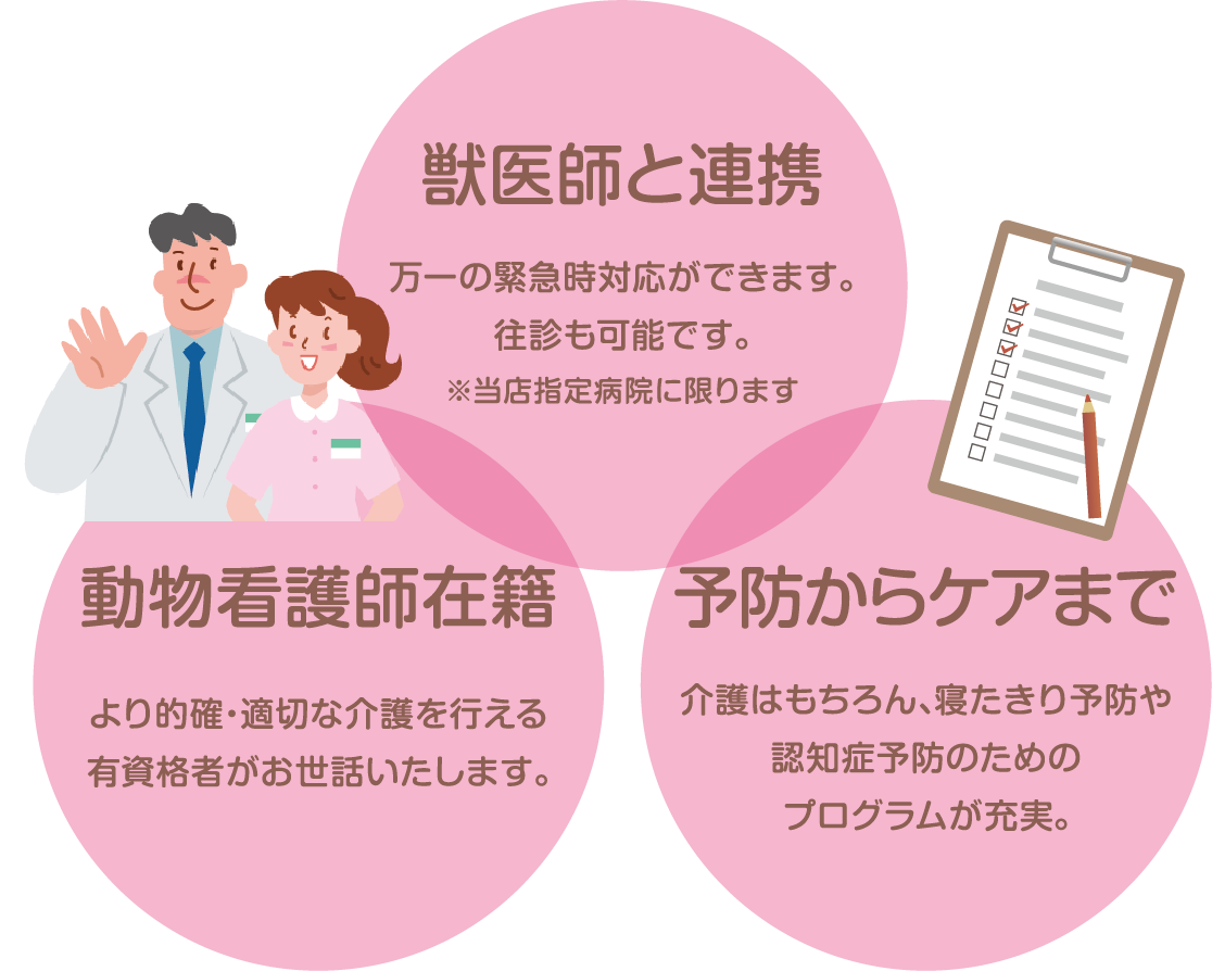 ロゼットプラス特徴図