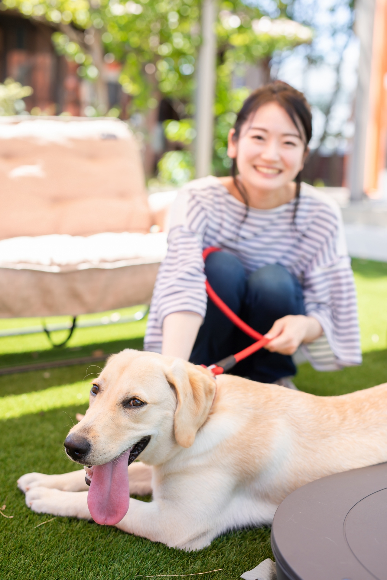 訪問介護・ペットシッターの様子