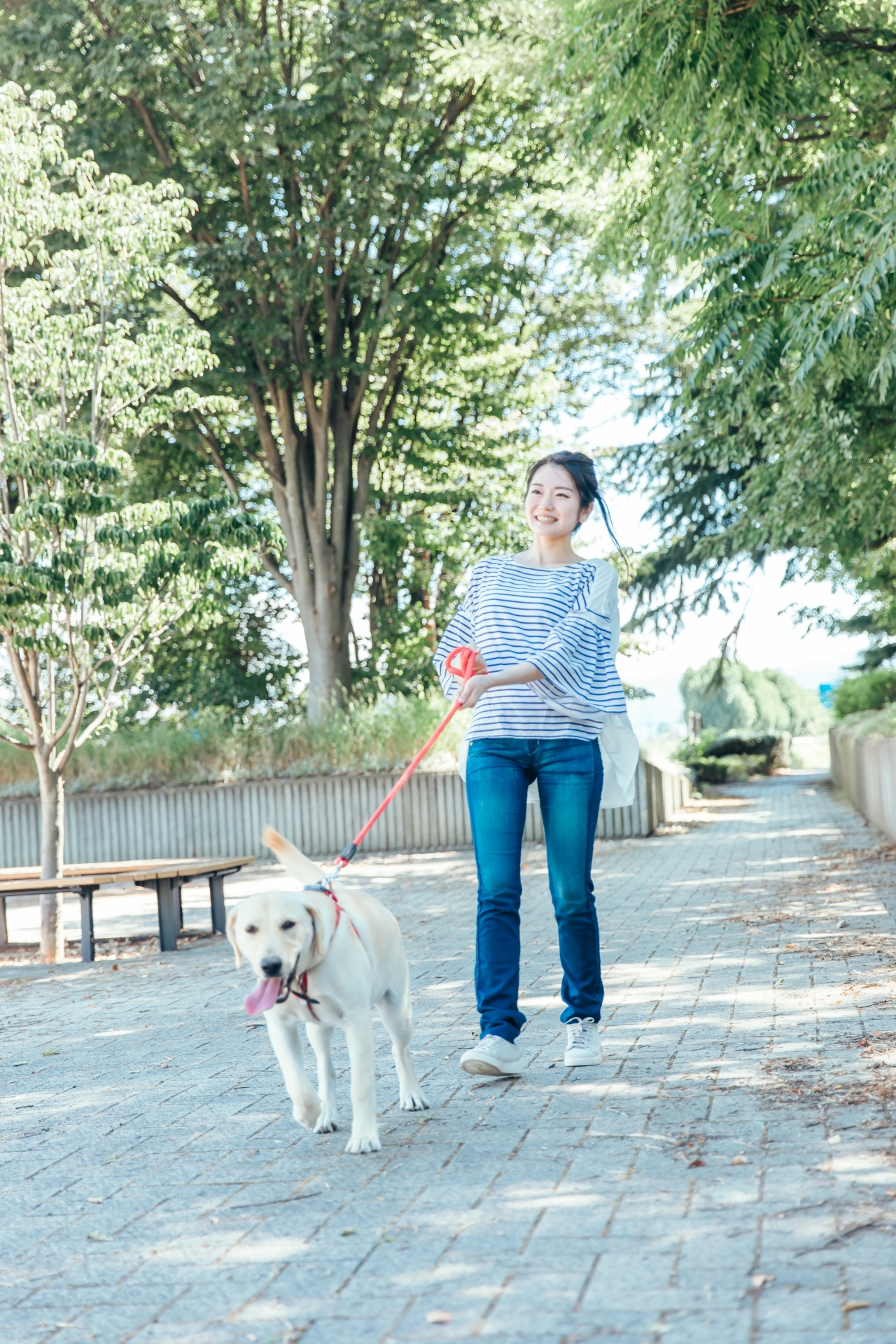 シンプル預かりプランの様子