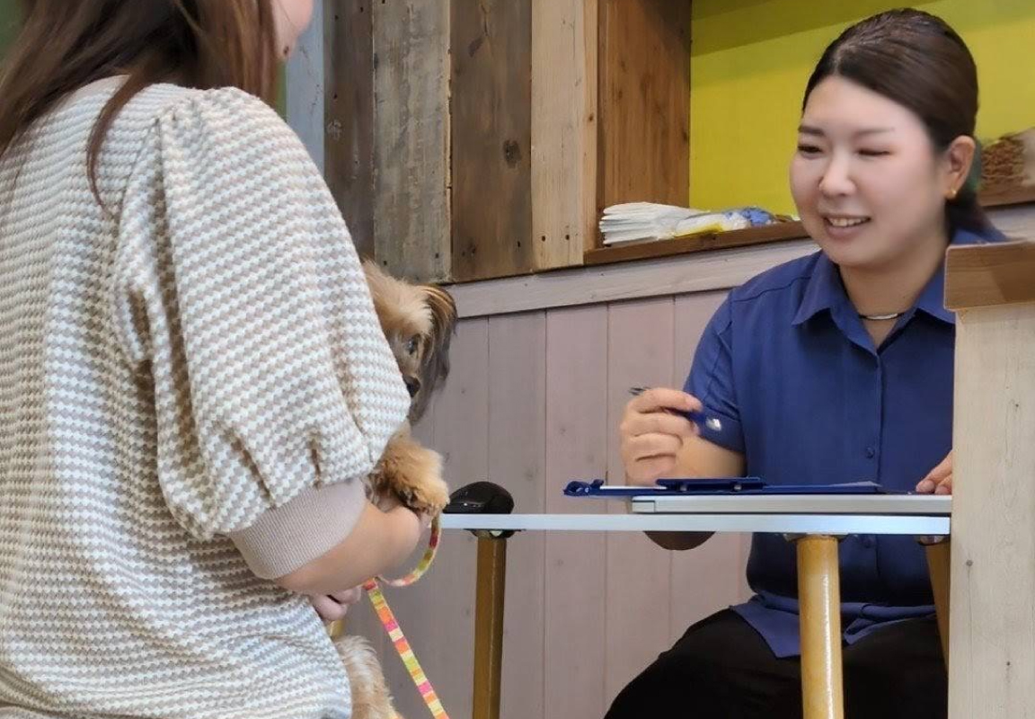 訪問中のスタッフ