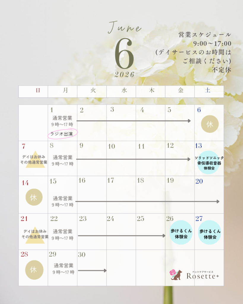 ＼６月営業日のお知らせです📢／