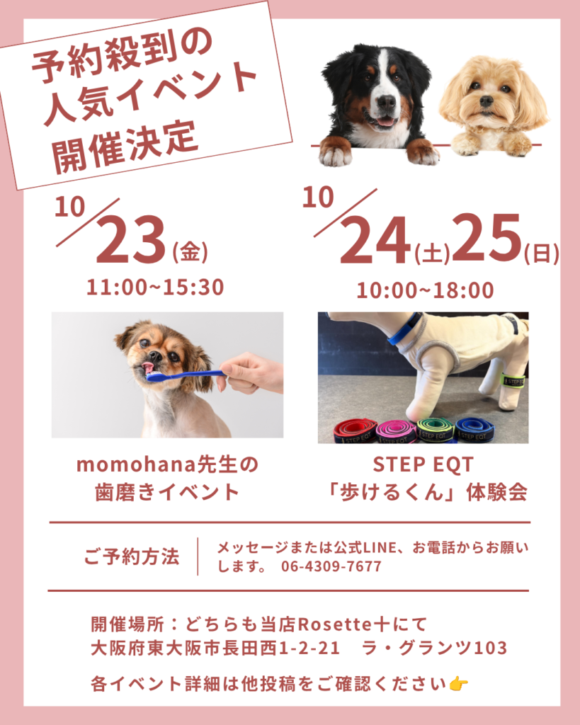 ＼🐕️10月イベントのお知らせ📢／